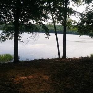 Meet your Posher, Theresa john